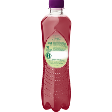 Spa FRUIT Bruisende Fruitige Frisdrank Cassis Blackberry 40cl