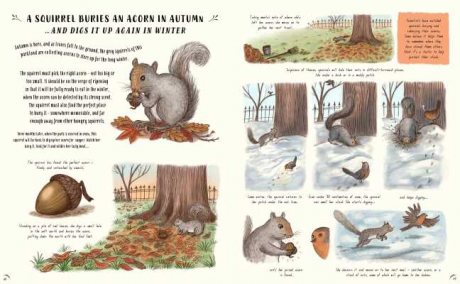 Slow Down: Bring Calm to a Busy World with 50 Nature Stories (Hardback)