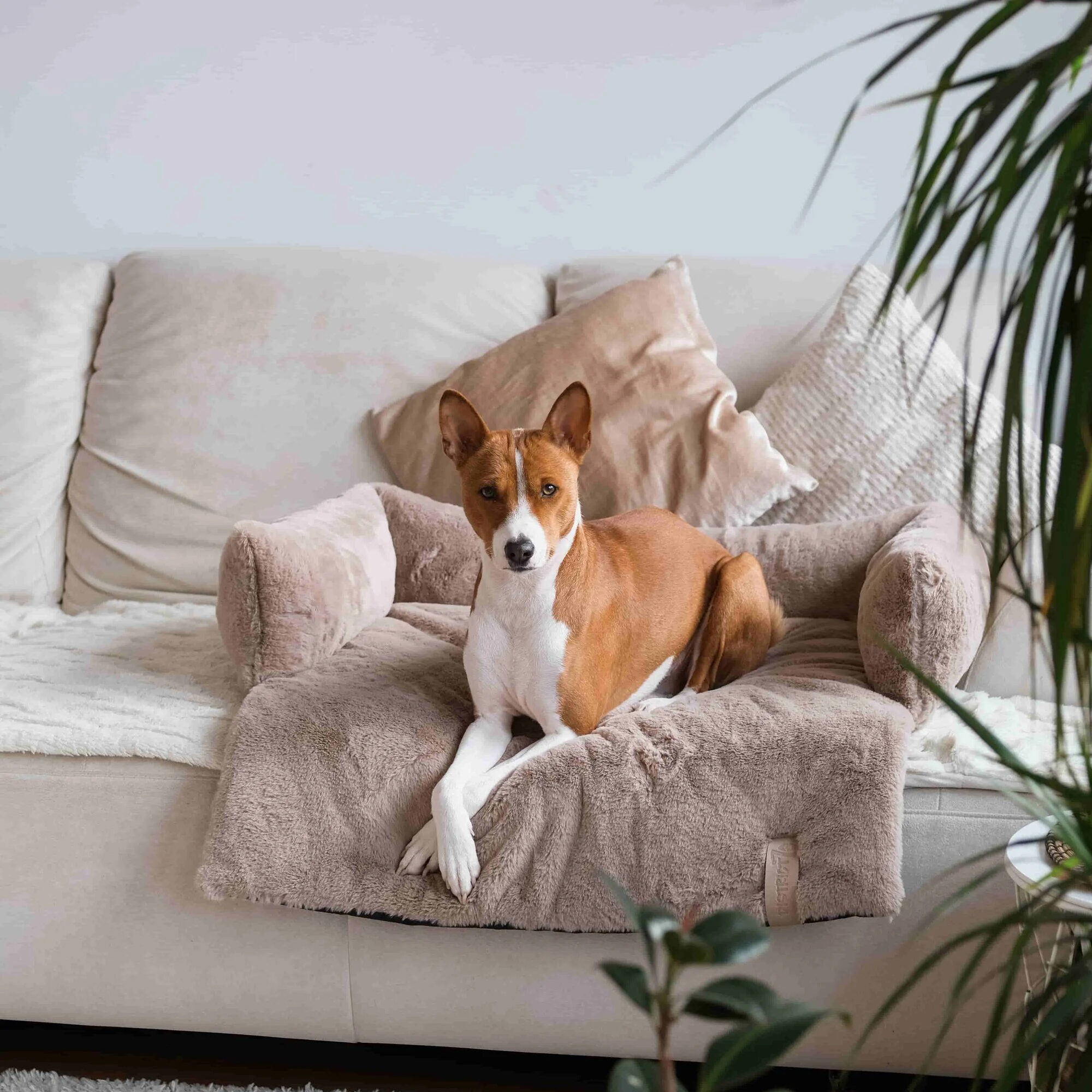 District 70 Nuzzle Sofa Bed