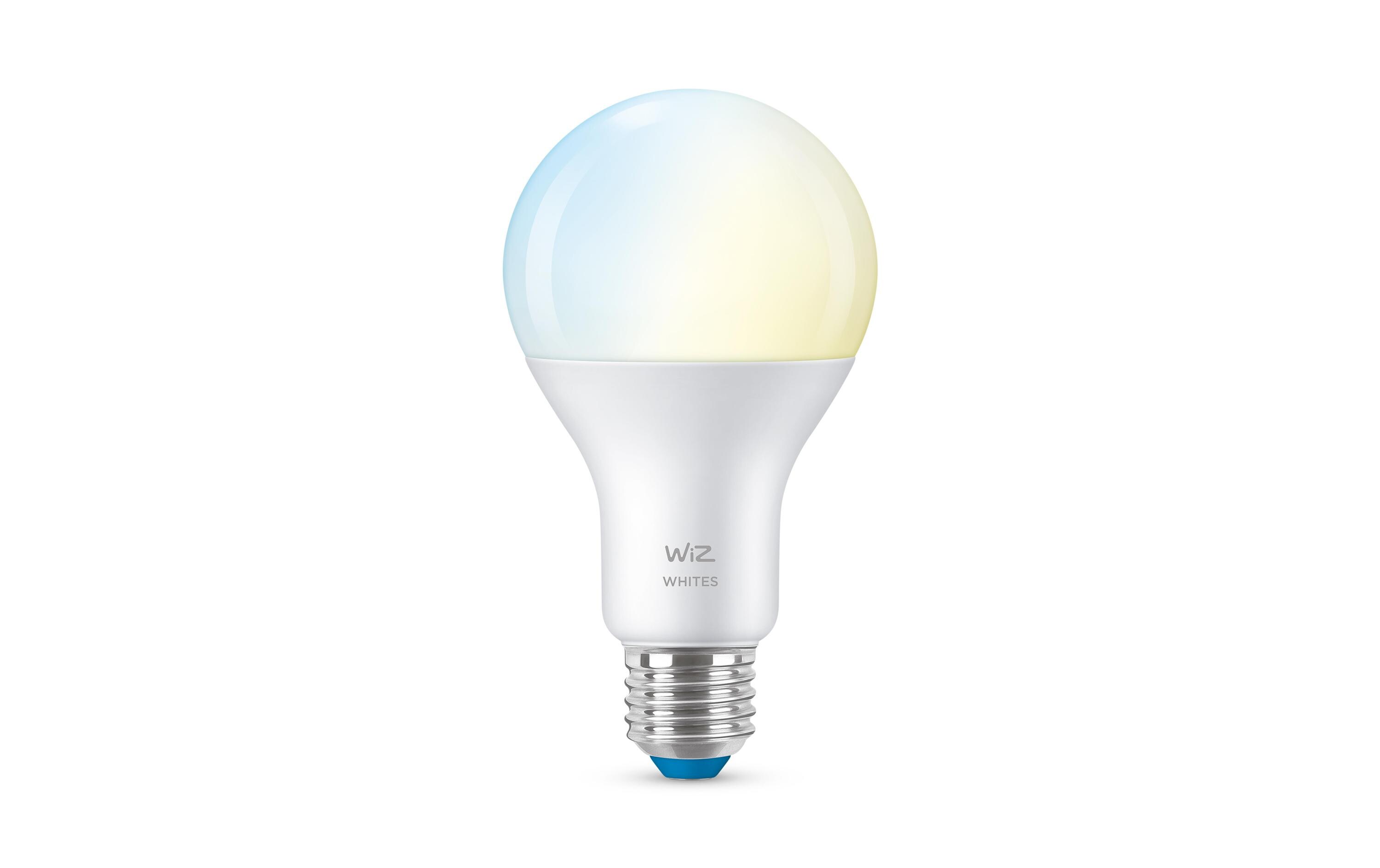 Leuchtmittel 13W (100W) E27 A67 Tunable White EinzelpackSmartes Leuchtmittel, steuerbar über Bluetooth, Matter, WLAN