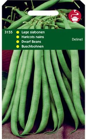groentezaad Stamslaboon laag (Phaseolus vulgaris 'Delinel')