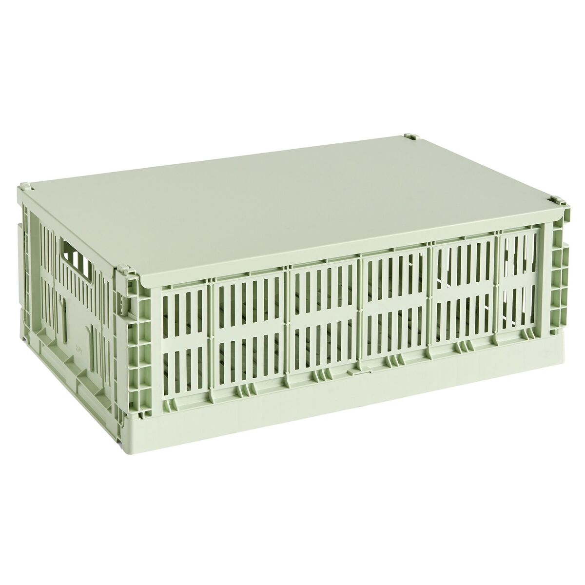 Colour Crate lokk large, golden mint