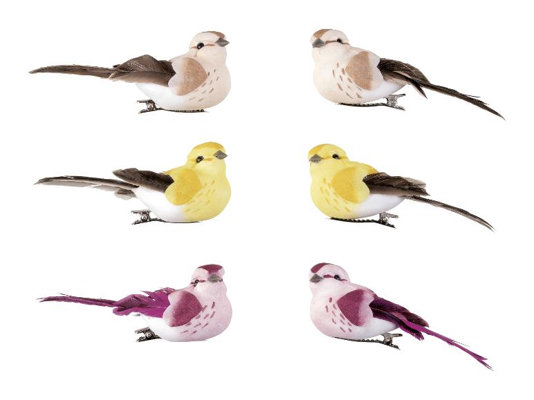 6 Decoratieklemmen