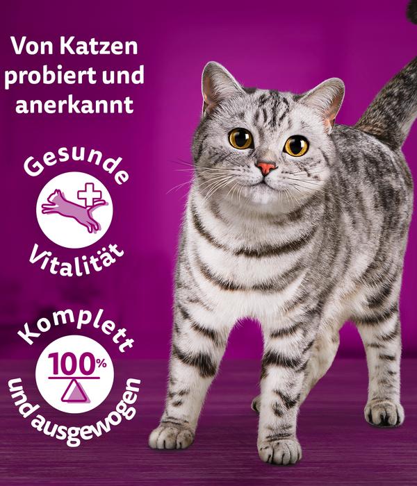 Whiskas® Nassfutter für Katzen Multipack