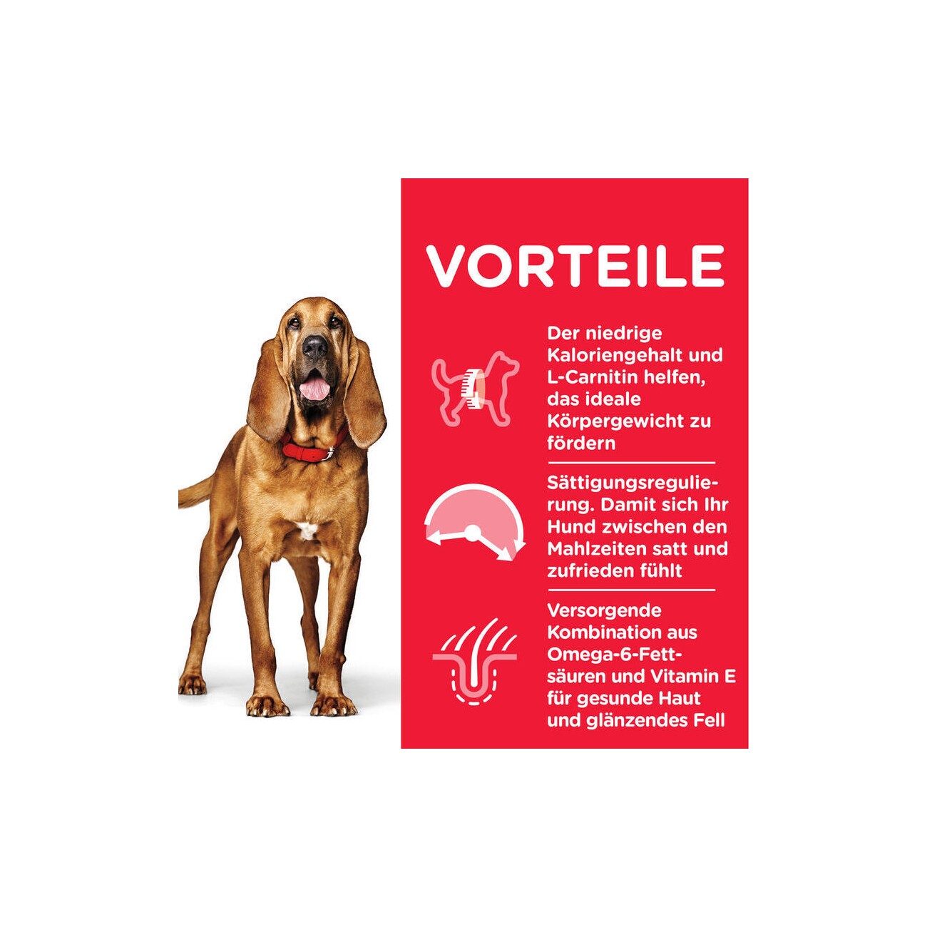 Hill's Science Plan Mature Adult 7+ Senior Light mit Huhn 14 kg