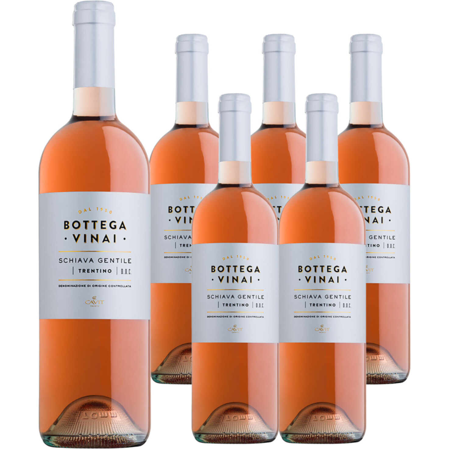 Trentino DOC Schiava Gentile Bottega Vinai Cavit 6x 75cl -6x 75cl