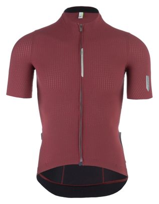 Maillot Manches Courtes Q36.5 Pinstripe PRO Marron