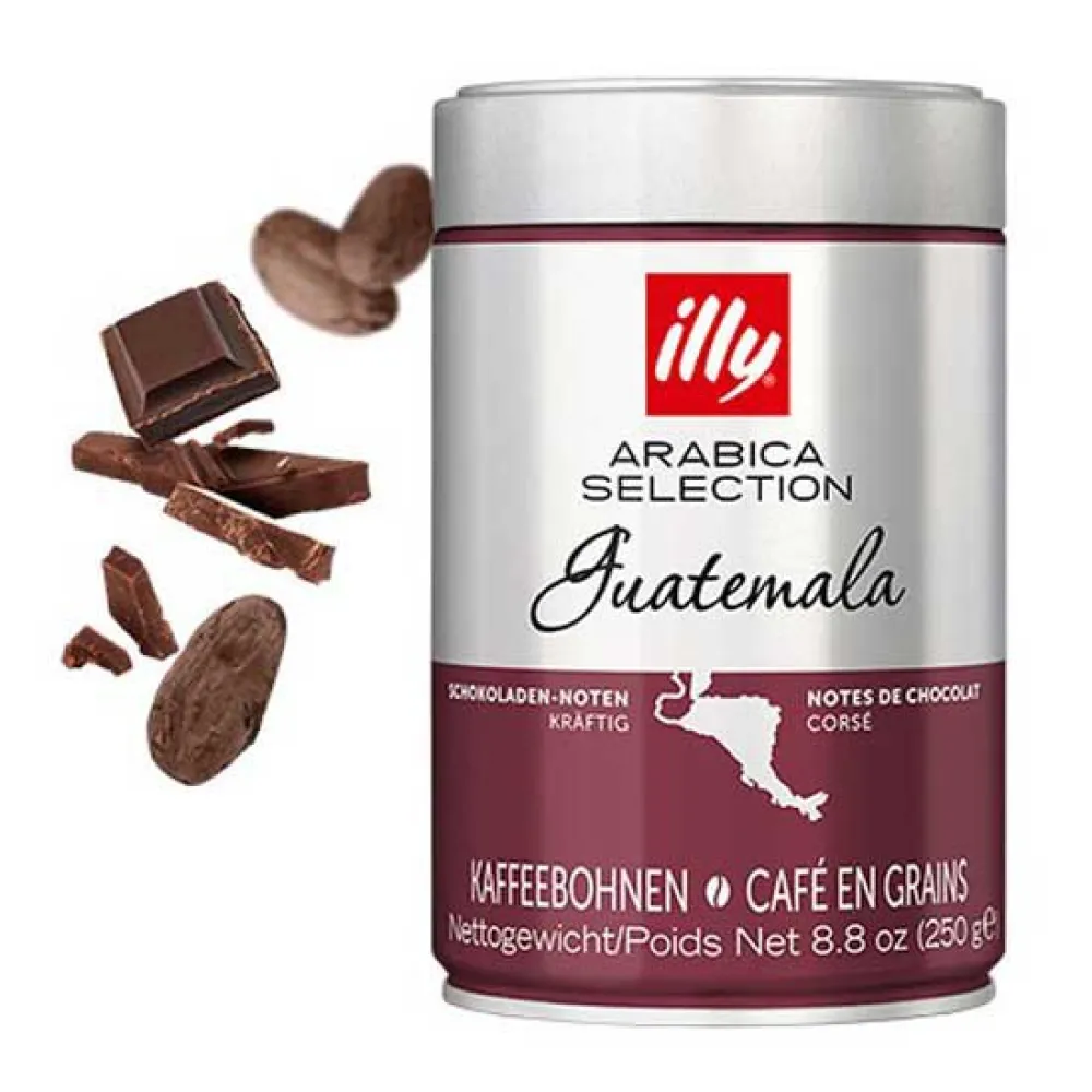 Illy Guatemaltekische Kaffeebohnen 250g