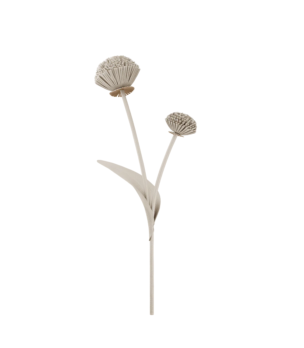 Fleur Tul - Duo Craie Grainé