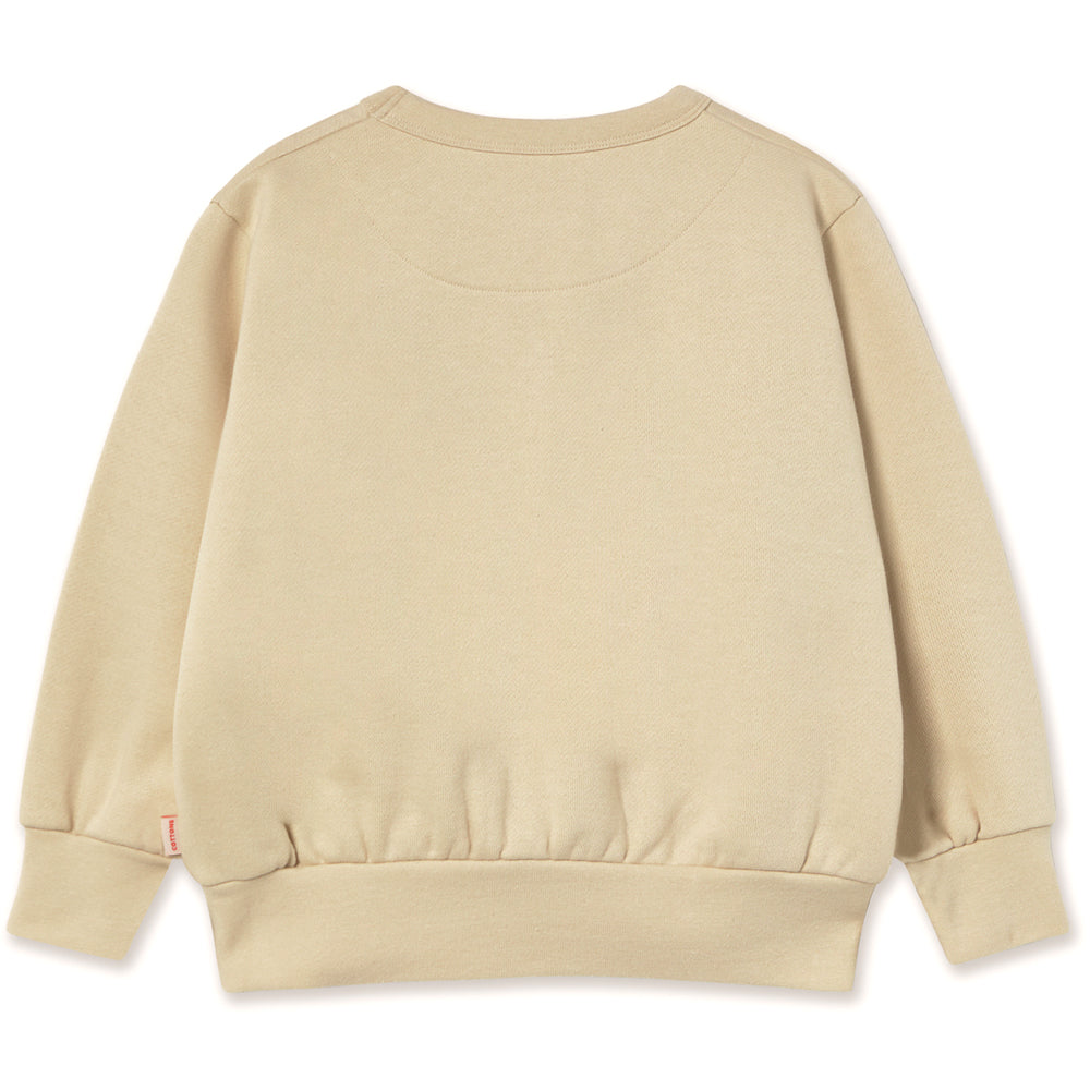 APPLES sweatshirts