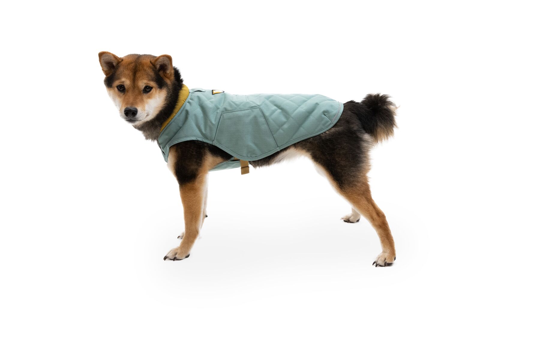 Veste matelassée stumptown™ résistant aux intempéries avec passage pour laisse. Couleur: river rock green (vert sauge), taille: xxs