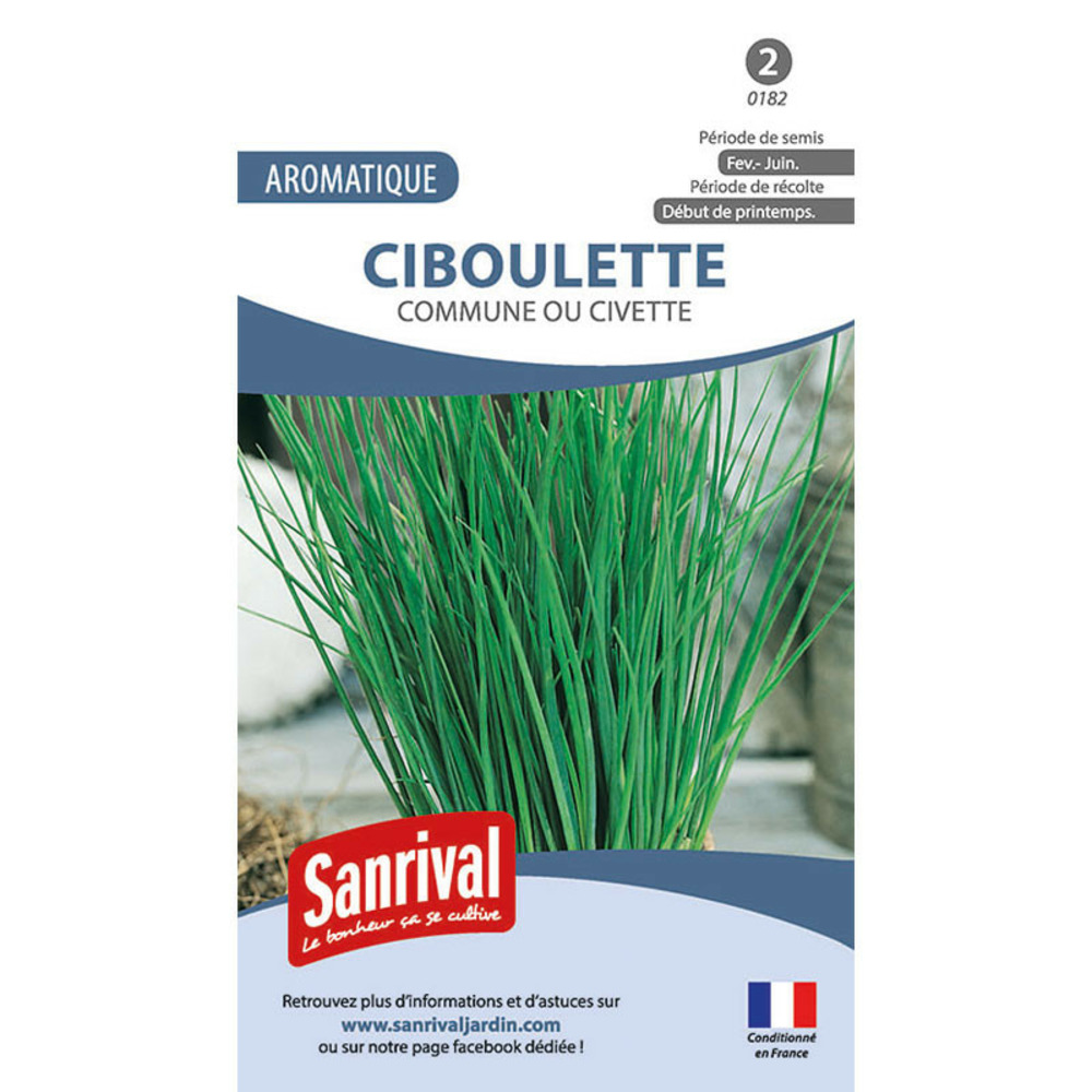 Graines ciboulette civette