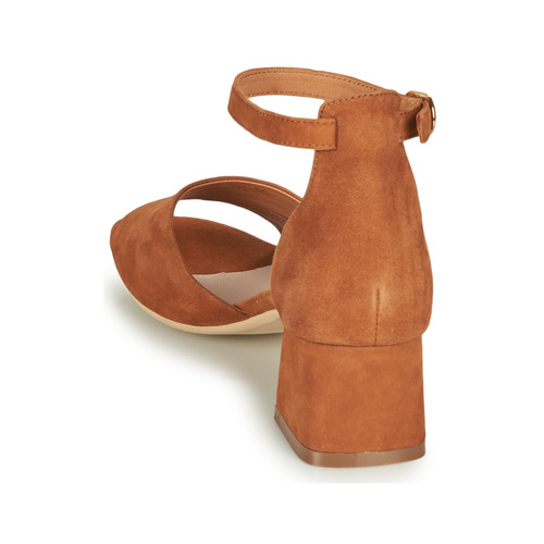 André - JAYLA - Camel