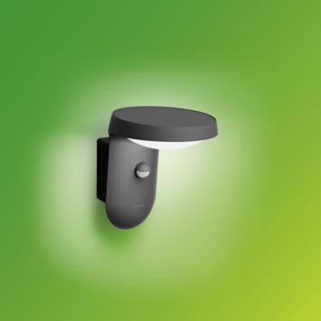 Philips wandlamp buiten Tyla 2700K 9W