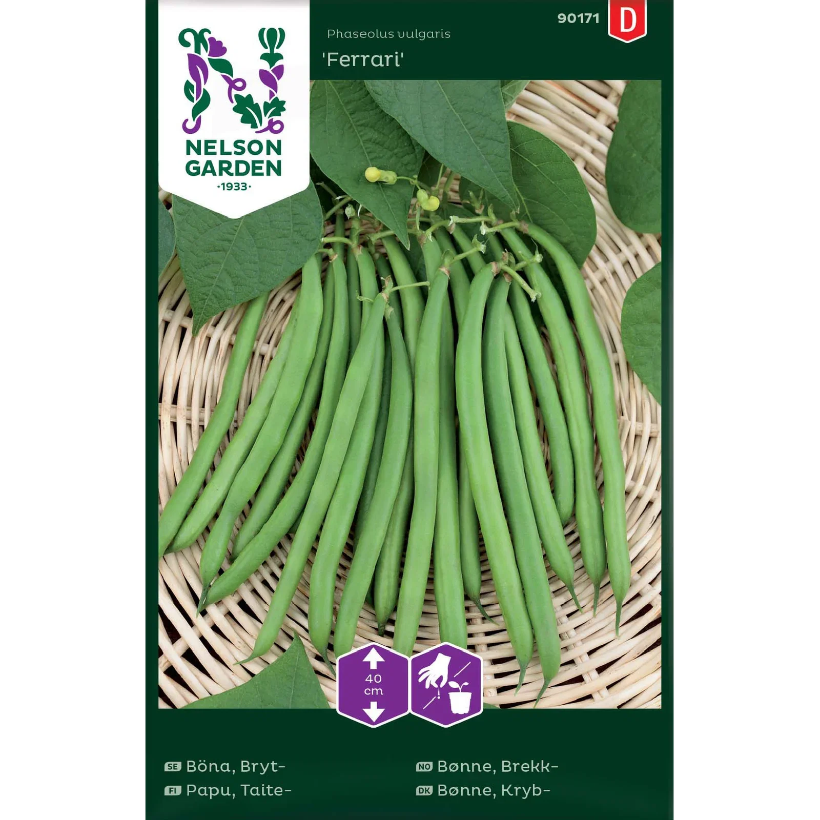 Phaseolus vulgaris 'Ferrari' Brekkbønne 'Ferrari'
