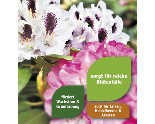 Rhododendronmeststof FloraSelf 2,5 kg