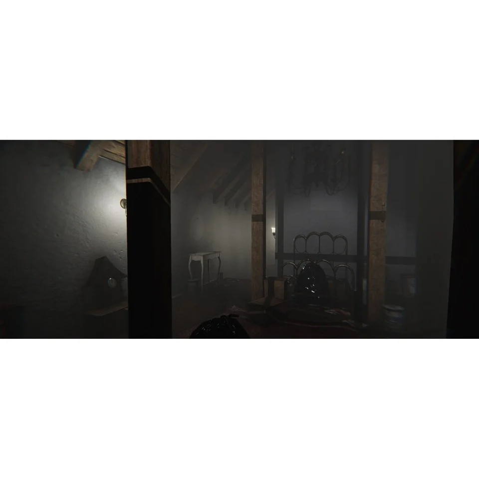 MADiSON - Possessed Edition- PlayStation 4