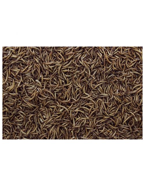 Esve Meelwormen Emmer - Kippenvoer - 3 l 700 g