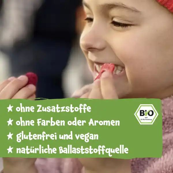 Bio Erdbeere Fruchtchips
