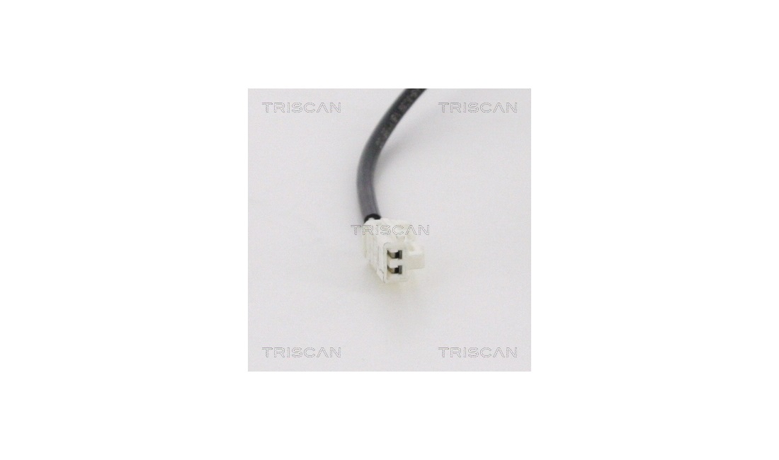ABS sensor