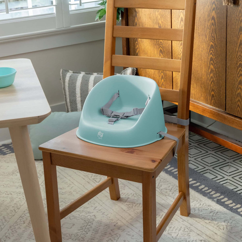 Køb Ingenuity Teal My Spot™ Easy-Clean Booster