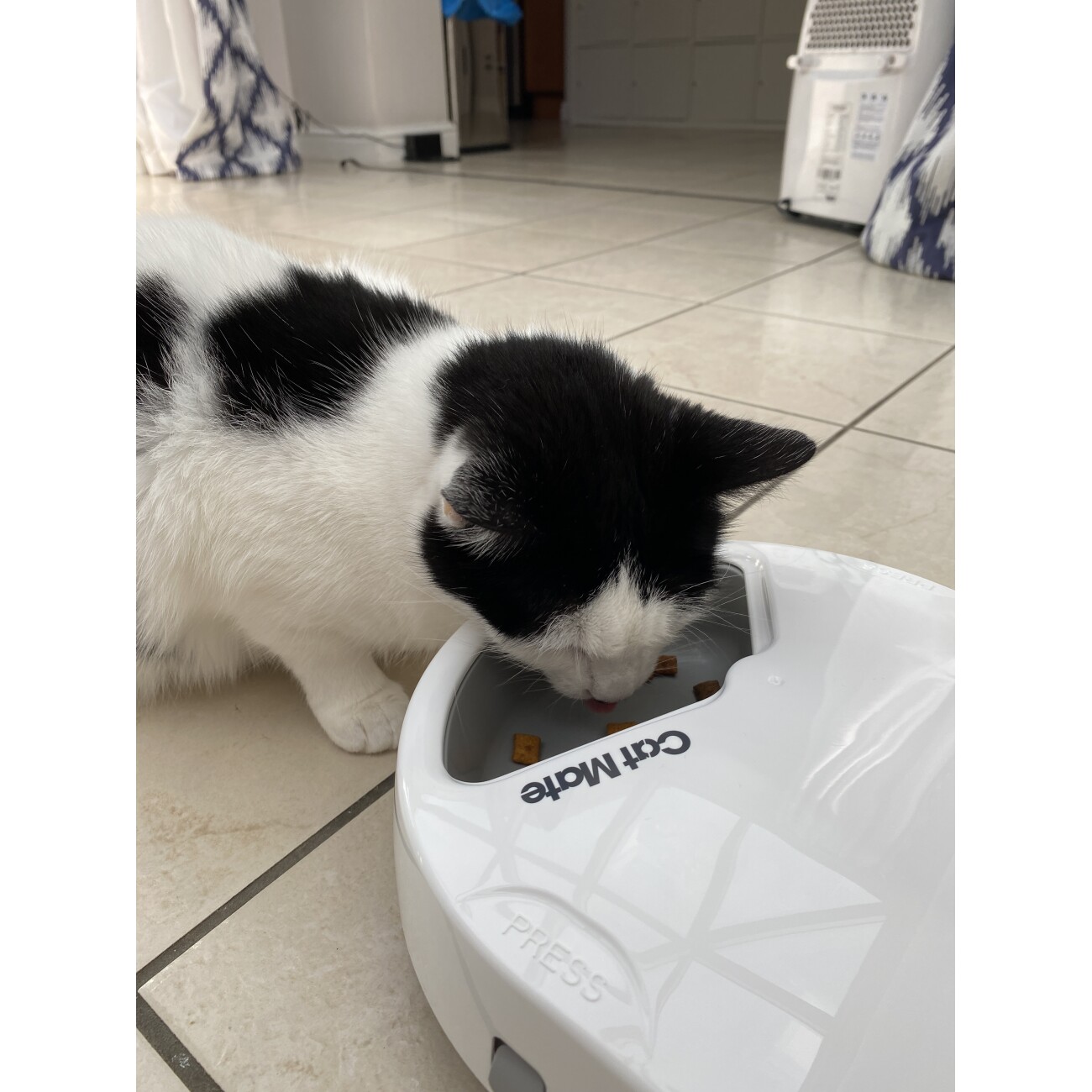 Cat Mate Futterautomat für drei Mahlzeiten mit digitalem Timer (C300)