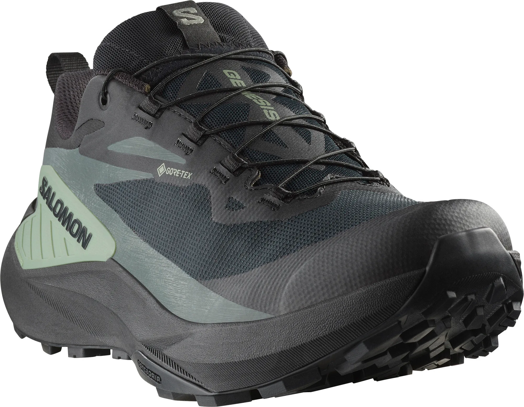 Salomon Men's Genesis GORE-TEX Black/Agave Green/Urban Chic