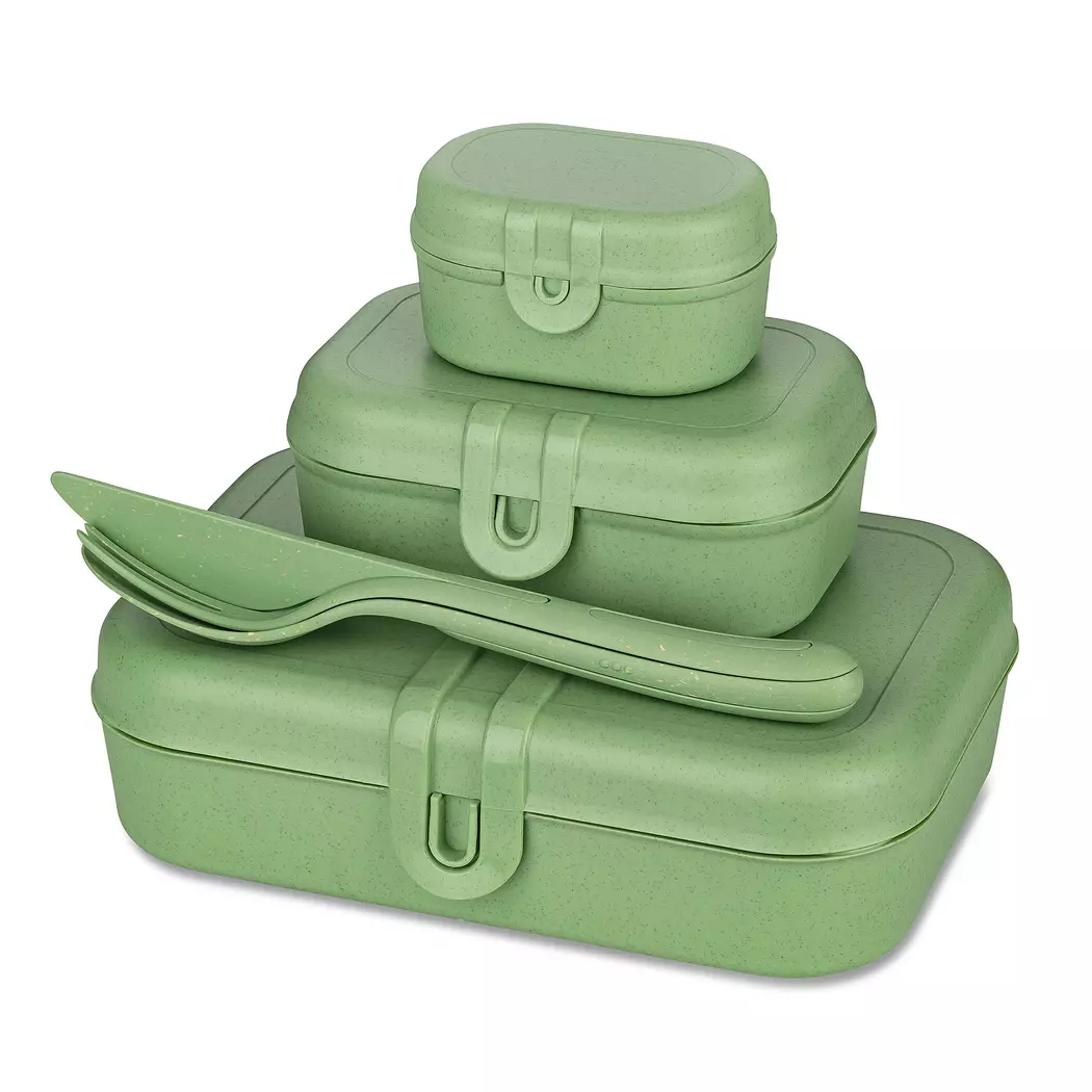 Lunchbox Pascal Ready 4tlg