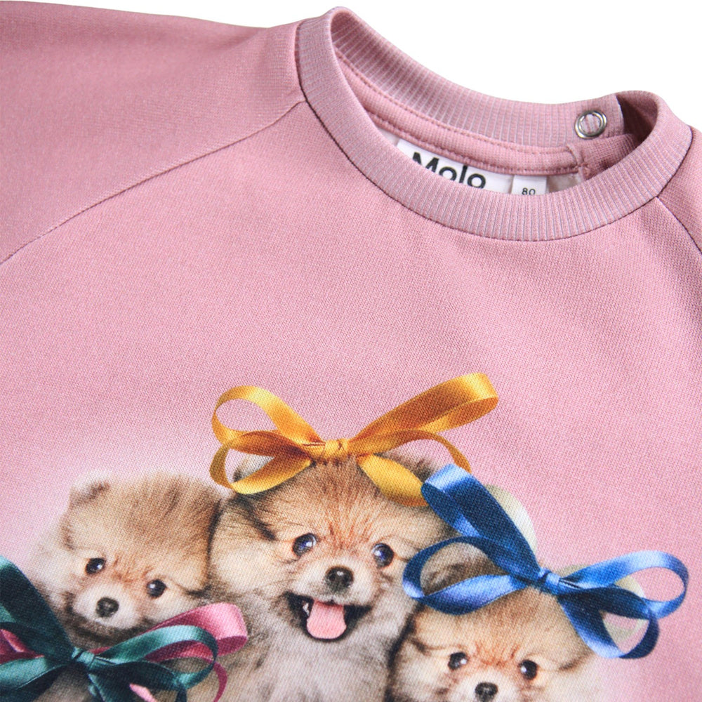 Køb Molo Ribbon Play Disc Sweatshirt