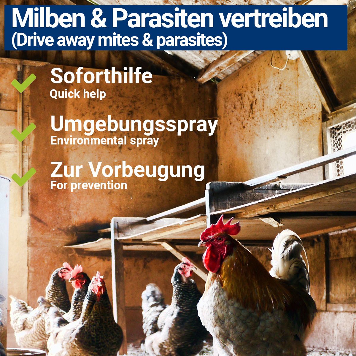 BMUT MilbenSpray für Geflügel wie Hühner & Vögel