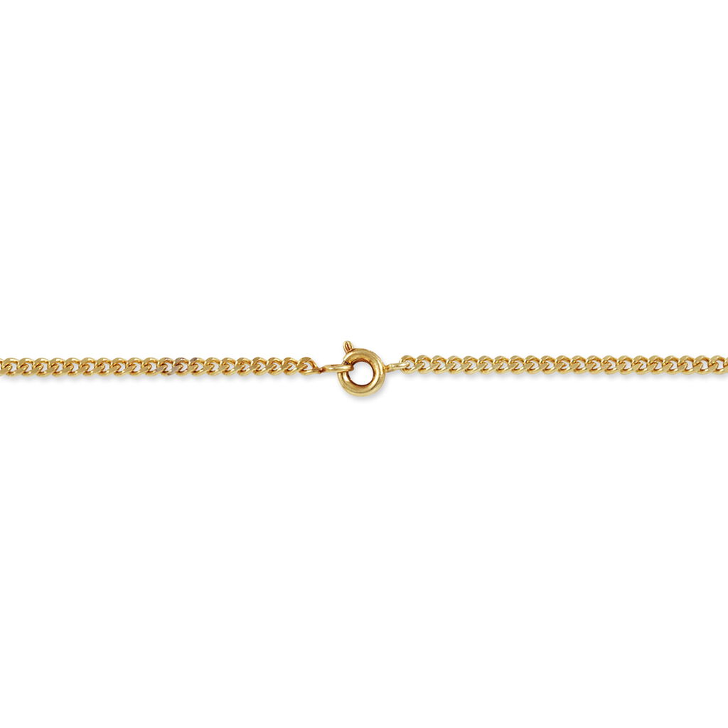 Chaîne Clement Maille Gourmette Plaqué Or Jaune