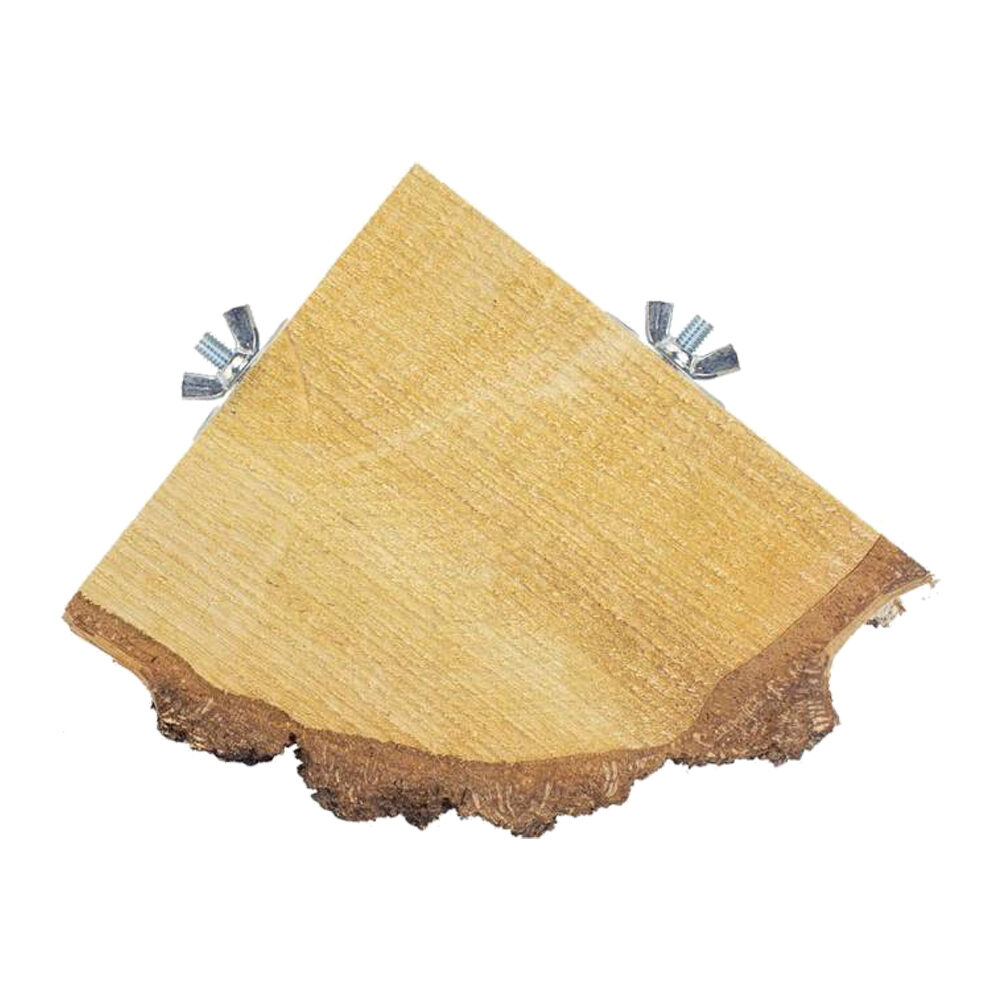 Back Zoo Nature Wood Slice