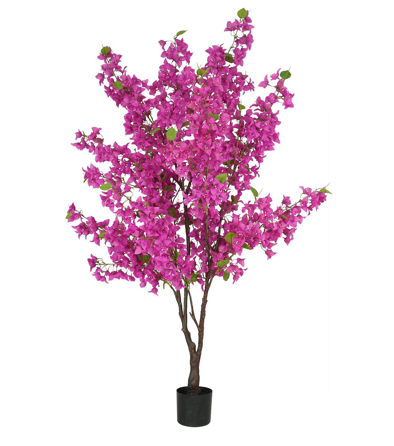 BOUGAINVILLIER 1400 FLEURS POT NOIR H.175CM