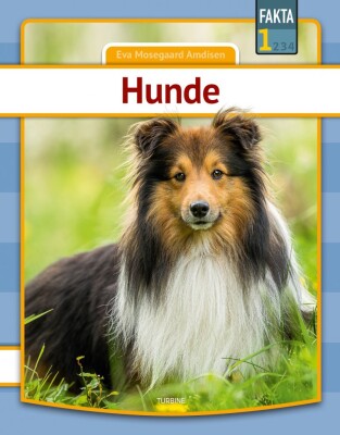Hunde - Eva Mosegaard Amdisen - Bog