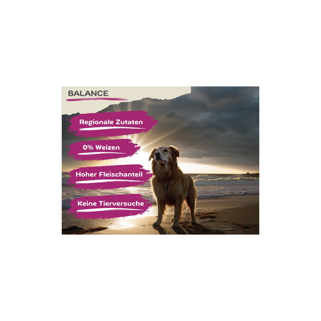 MyPetClub weizenfreies Trockenfutter für Hunde mit Ente, Huhn & Pute und hohem Fleischanteil - 14.5kg