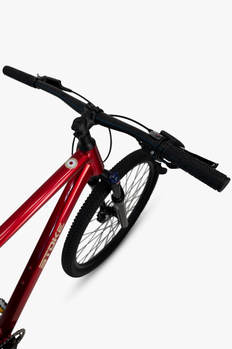 Stoke Naga 29 Mountainbike 2024