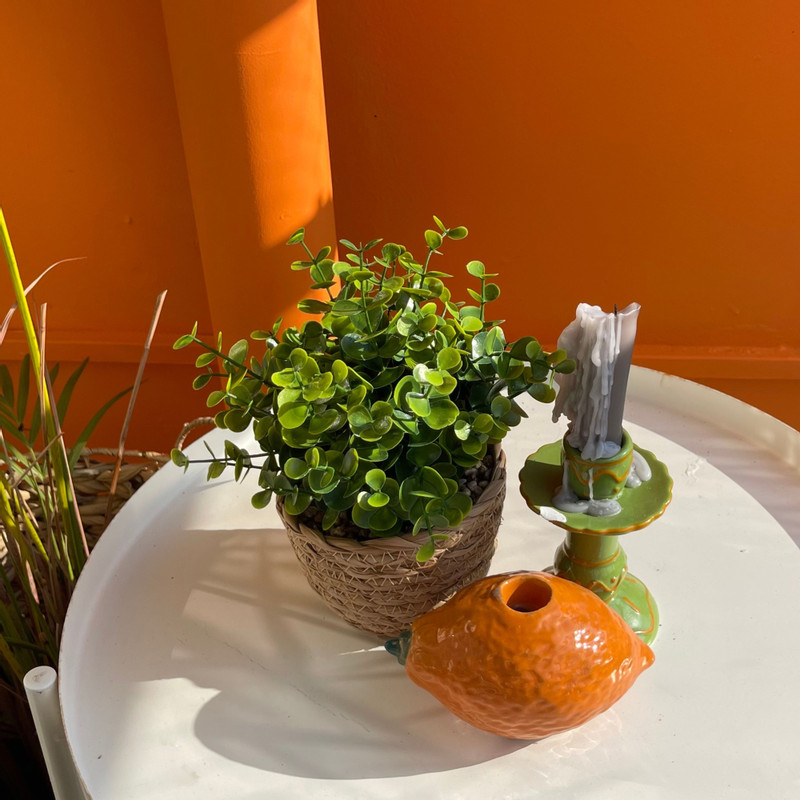Plantje in rieten mand - rond blad - ø10x19 cm