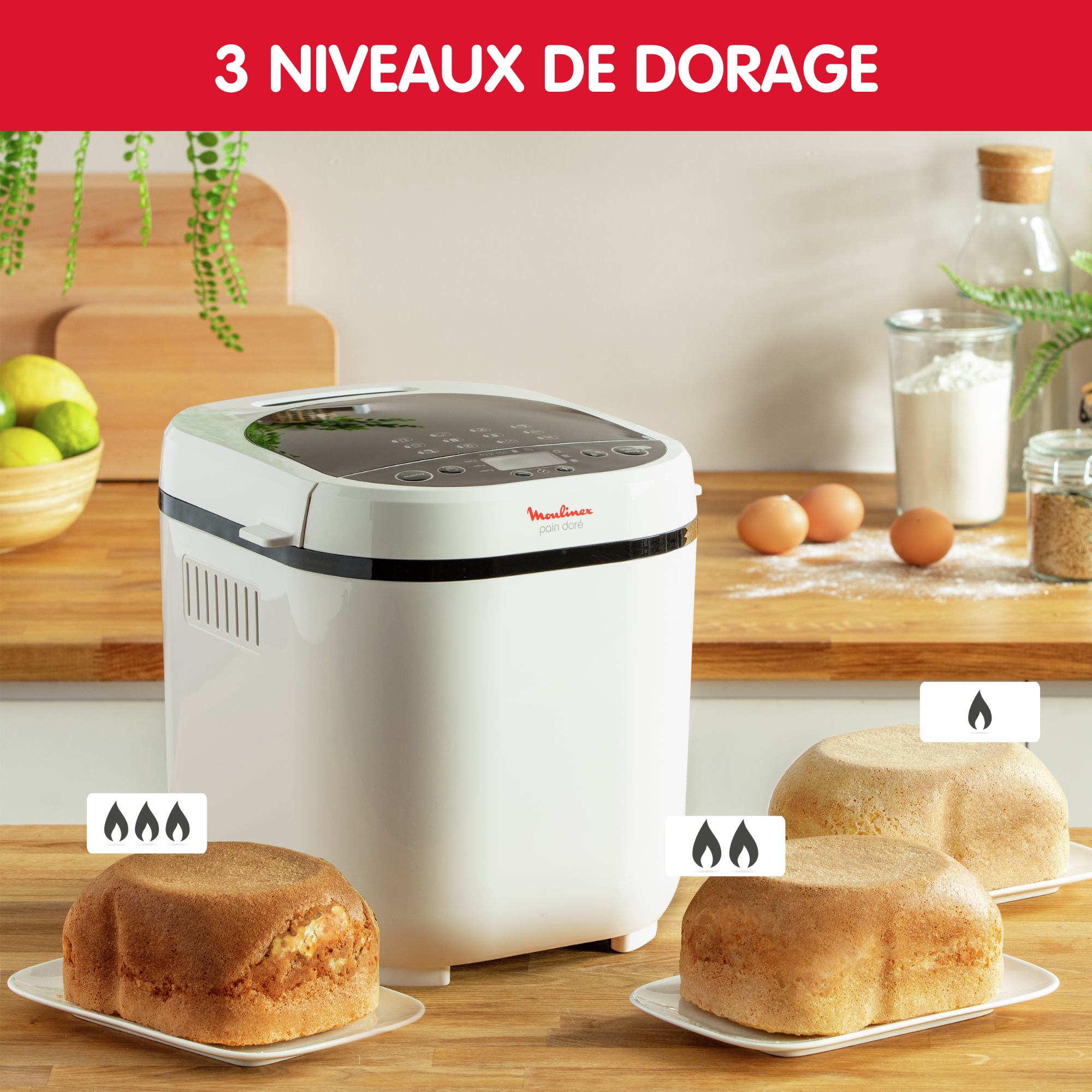 PAIN DORE 1 KG