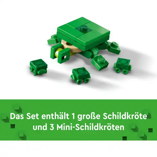 21254 Das Schildkrötenstrandhaus