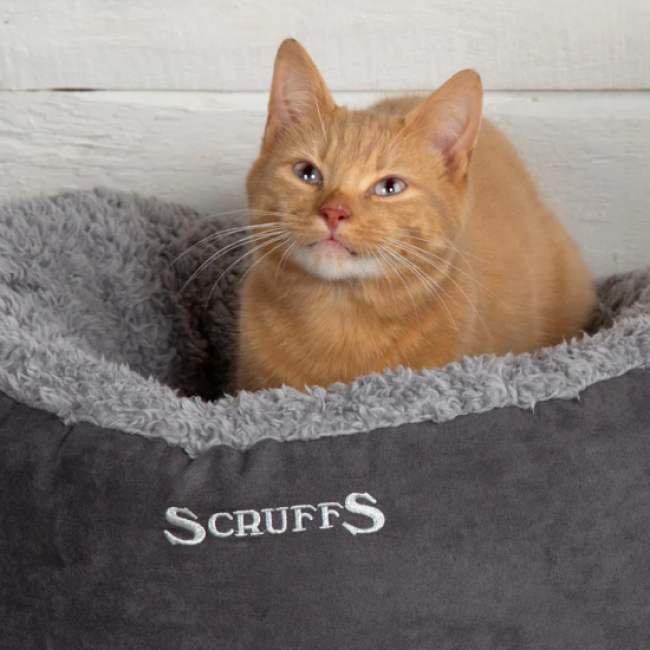 Cosy cat bed Scruff gris pour chat et petit chien