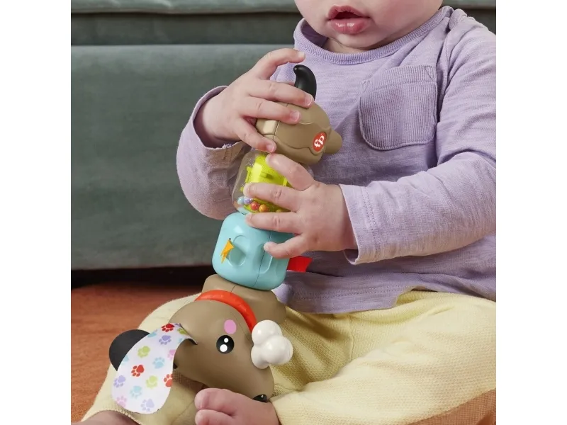Fisher Price Click & Spin Activity Pup CDU