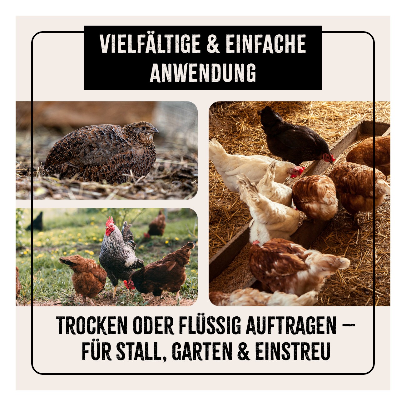 AniForte Kieselgur Pulver inkl. Stäuberflasche 4,2 kg
