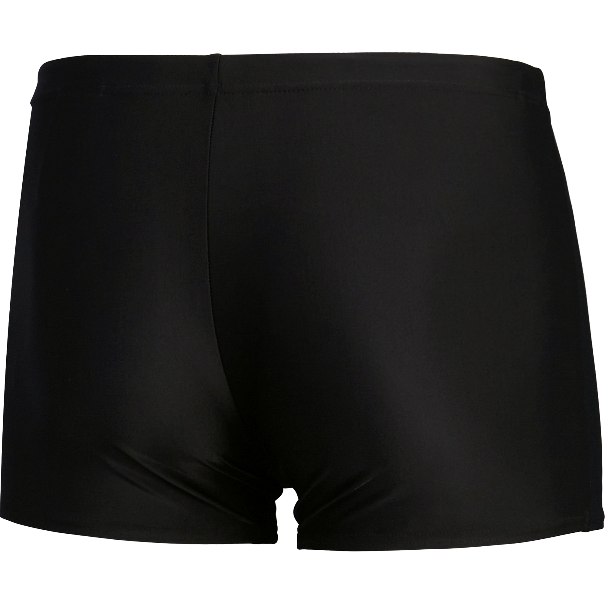 Speedo Medley Logo Aquashorts Herren schwarz
