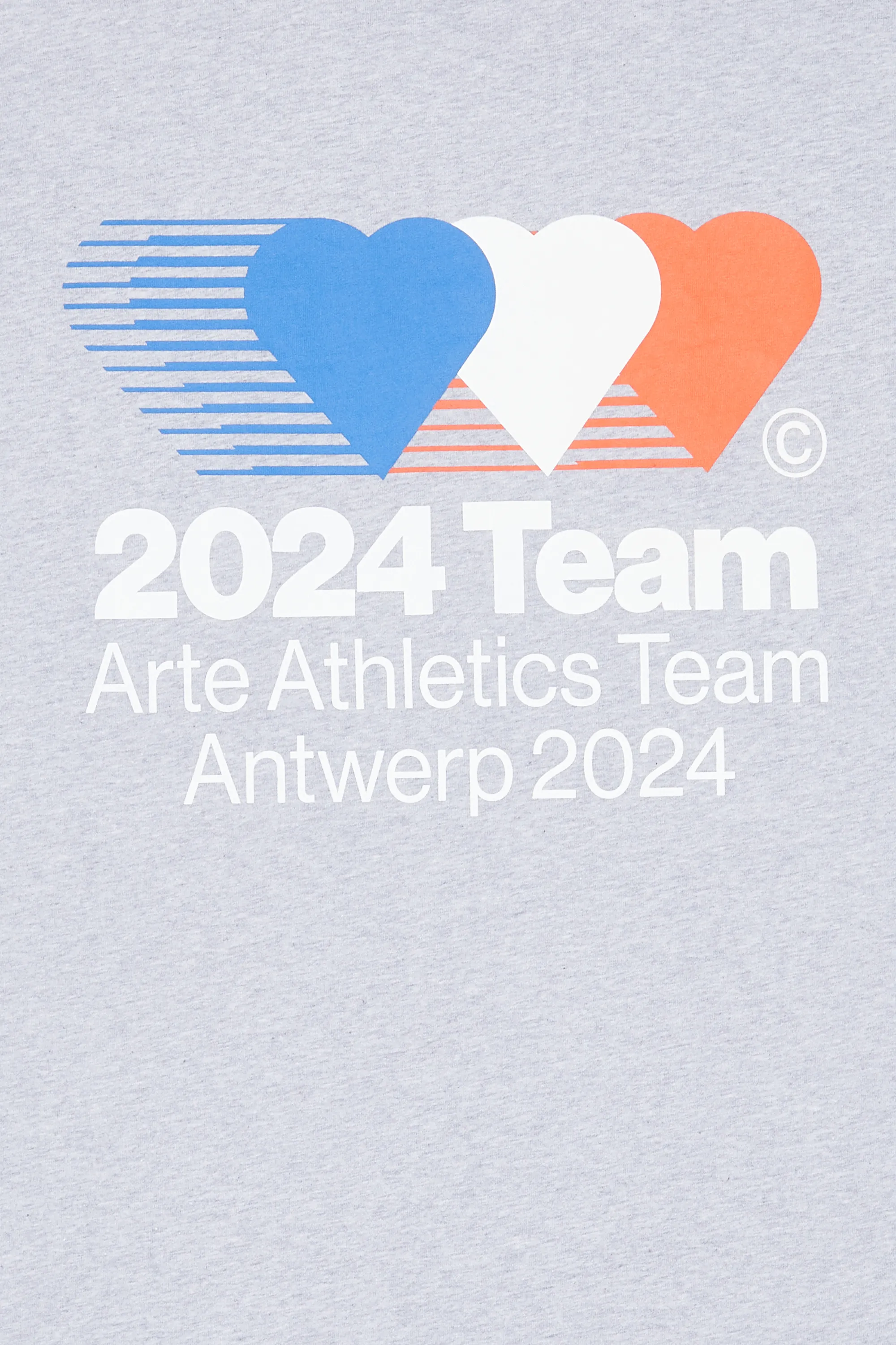 ARTE ANTWERP T-shirt  Teo Back Team  Gris