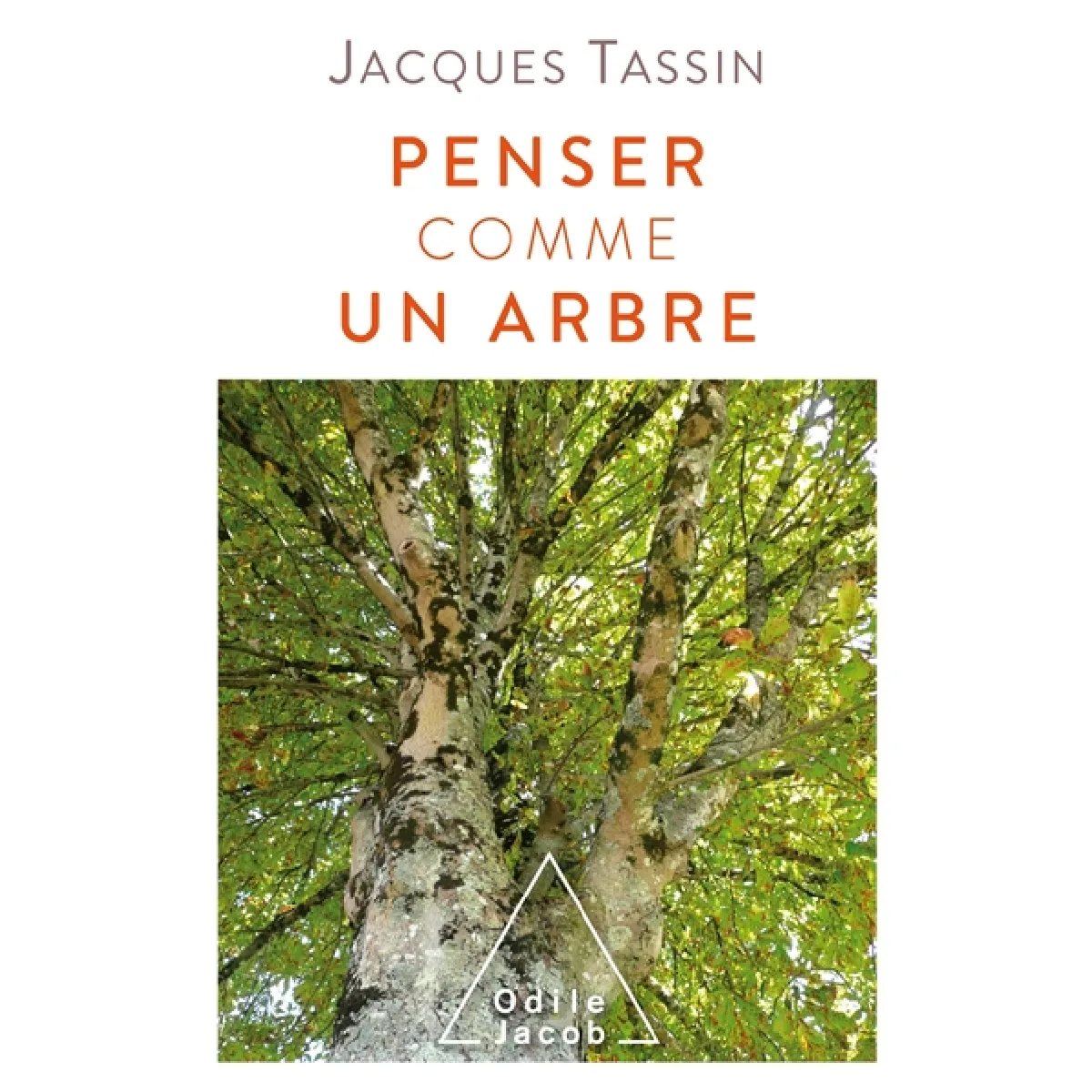 Penser comme un arbre · Occasion