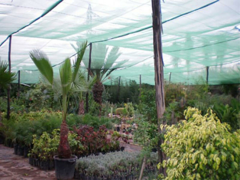 Filet d'ombrage - 55% d'ombre vert/noir 1.50m x 20m