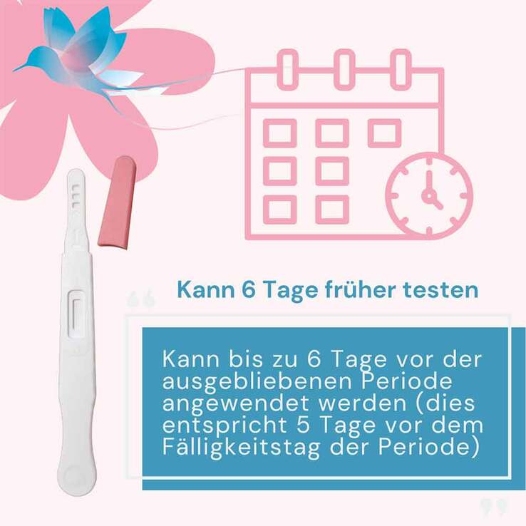 Earlibird Ultrafrüh Schwangerschaftstest Urin, 1 St
