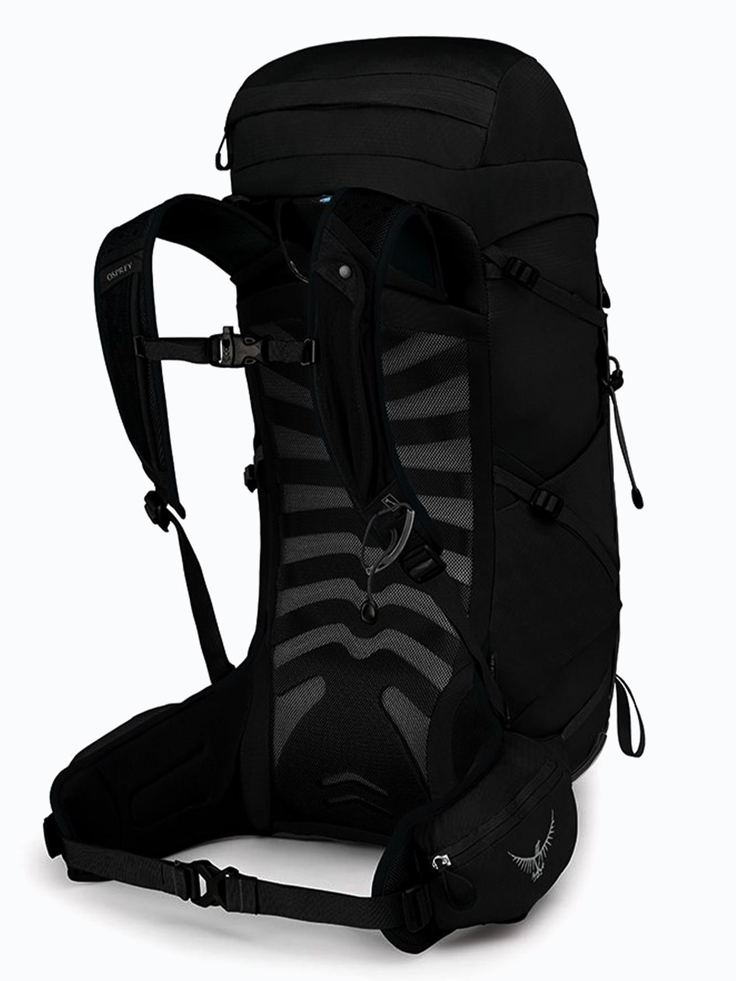 Talon 33L