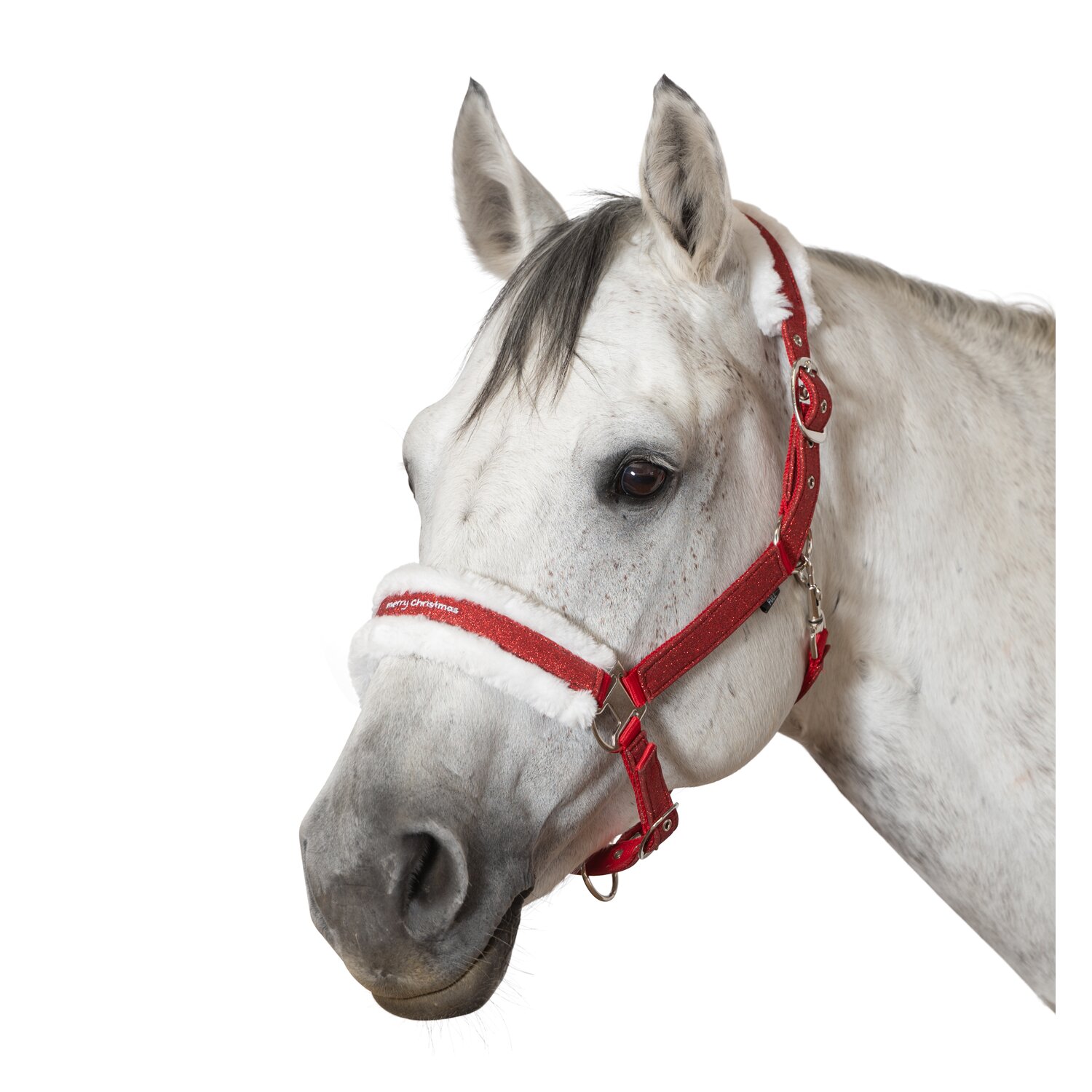 Horse-friends Weihnachtshalfter  - rot