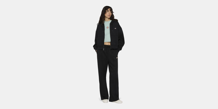 Dickies OAKPORT ZIP HOODIE W BLACK Black